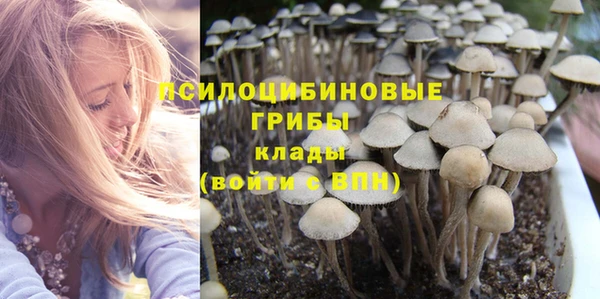 ешки Абинск