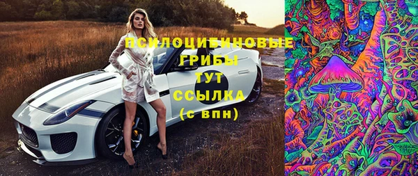 ешки Алексин